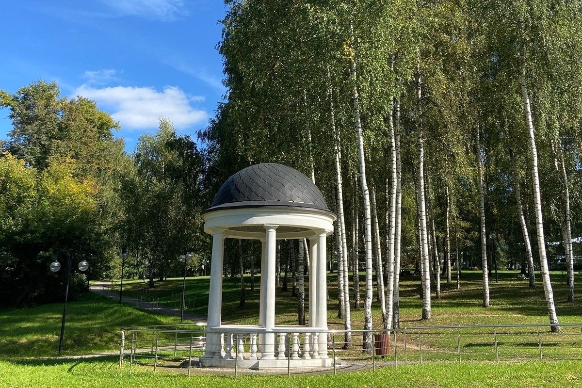 Синоптики назвали, какая ночь в Москве может стать одной из самых холодных