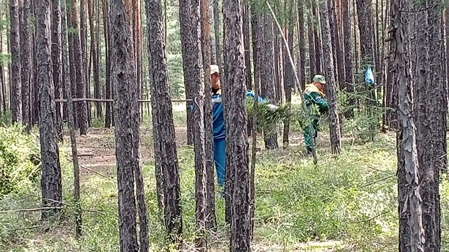 Санаторию под Читой создадут противопожарный заслон