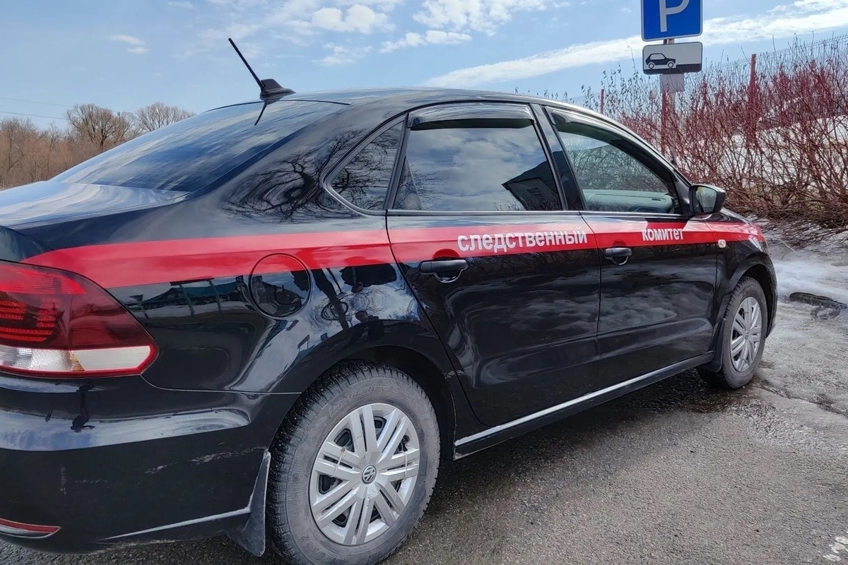 В Рубцовске двухлетний ребенок впал в кому после побоев отца — СК возбудил дело