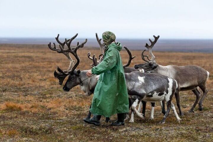 Коренные северяне смогут подать заявление на поддержку через МФЦ