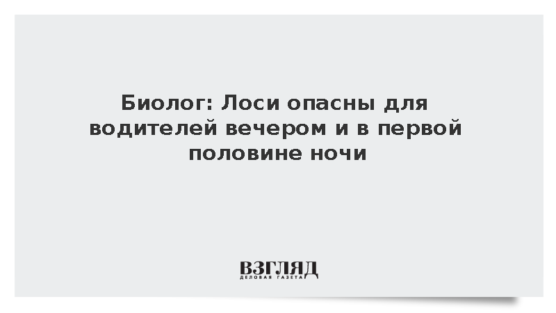 Биолог Кропачев: Лоси опасны для водителей вечером и в первой половине ночи
