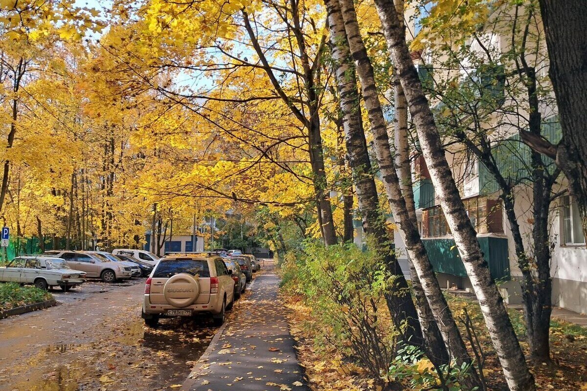 Без «плаксивой осени»: раскрыта погода в Москве 16 сентября