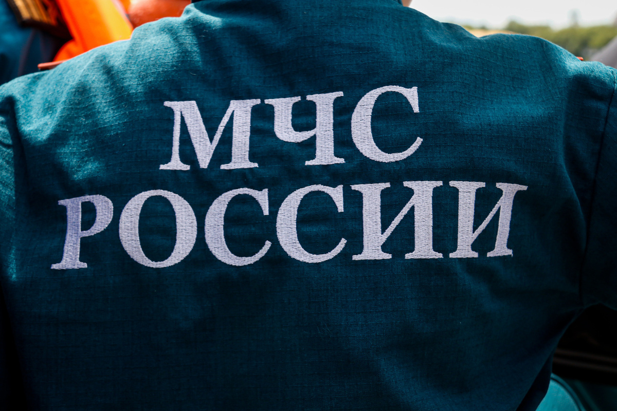 Спасение заблудившейся женщины под Шатурой: час блужданий по болотам