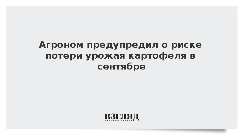 Агроном Викулов посоветовал выкопать картофель в сентябре несмотря на дожди