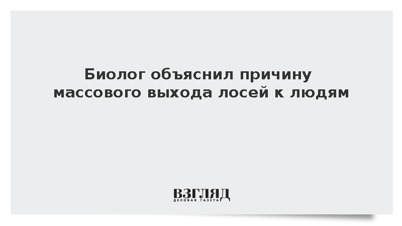 Ученый Федоров связал выход лосей к людям с осенним брачным периодом животных