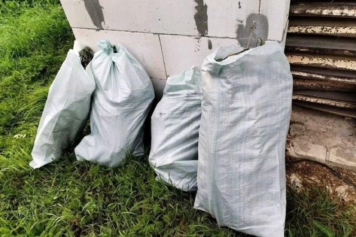 Во Владимирской области полицейские изъяли почти 4,7 килограмма растительных наркотиков