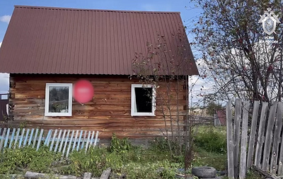 СК показал видео с места нападения медведя на пенсионерку в Красноярском крае