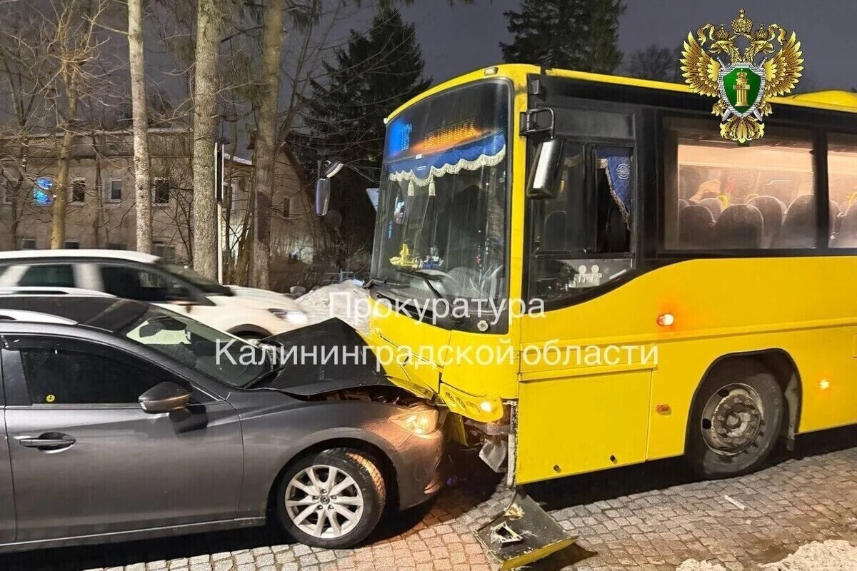 Травмы ребёнка обернулись для светлогорского перевозчика выплатой 100 тыс. рублей