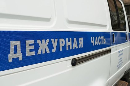 Раскрыт организатор похищения 7-летней девочки в Москве