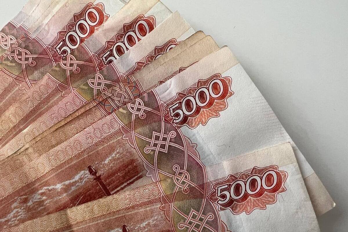 На Ставрополье глава КФХ обвиняется в хищении почти 25 млн рублей у банков