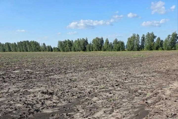 Владельца сельхозучастка в Шемышейском районе привлекут к ответственности из-за водной эрозии почвы