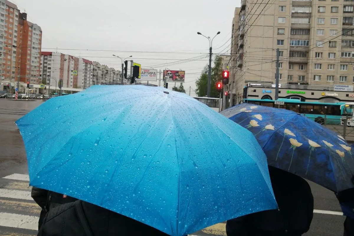Петербуржцам придется потерпеть три дня дождя с 17 сентября