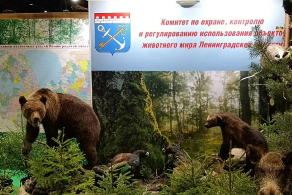 День Ленобласти на выставке «АГРОРУСЬ-2026» пройдет 18 сентября