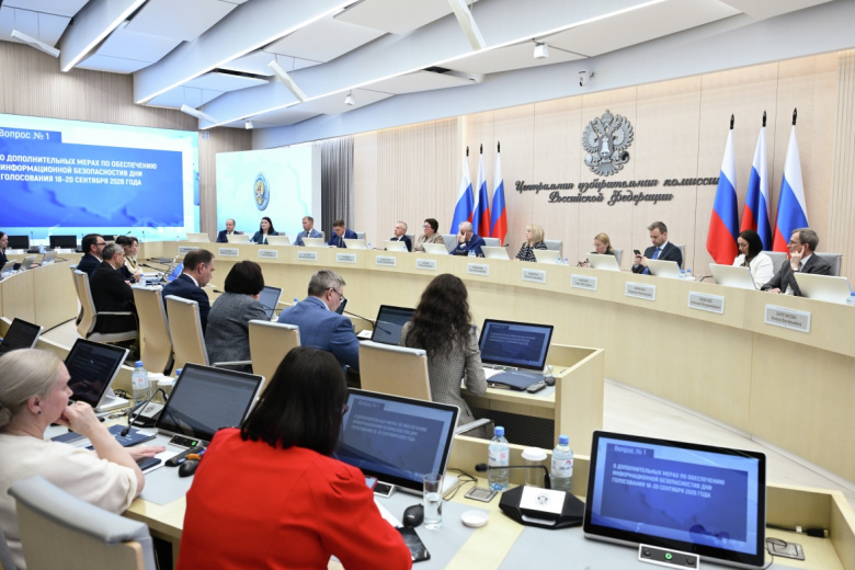 Наблюдатели от СНГ убедились в безопасности выборов в Госдуму