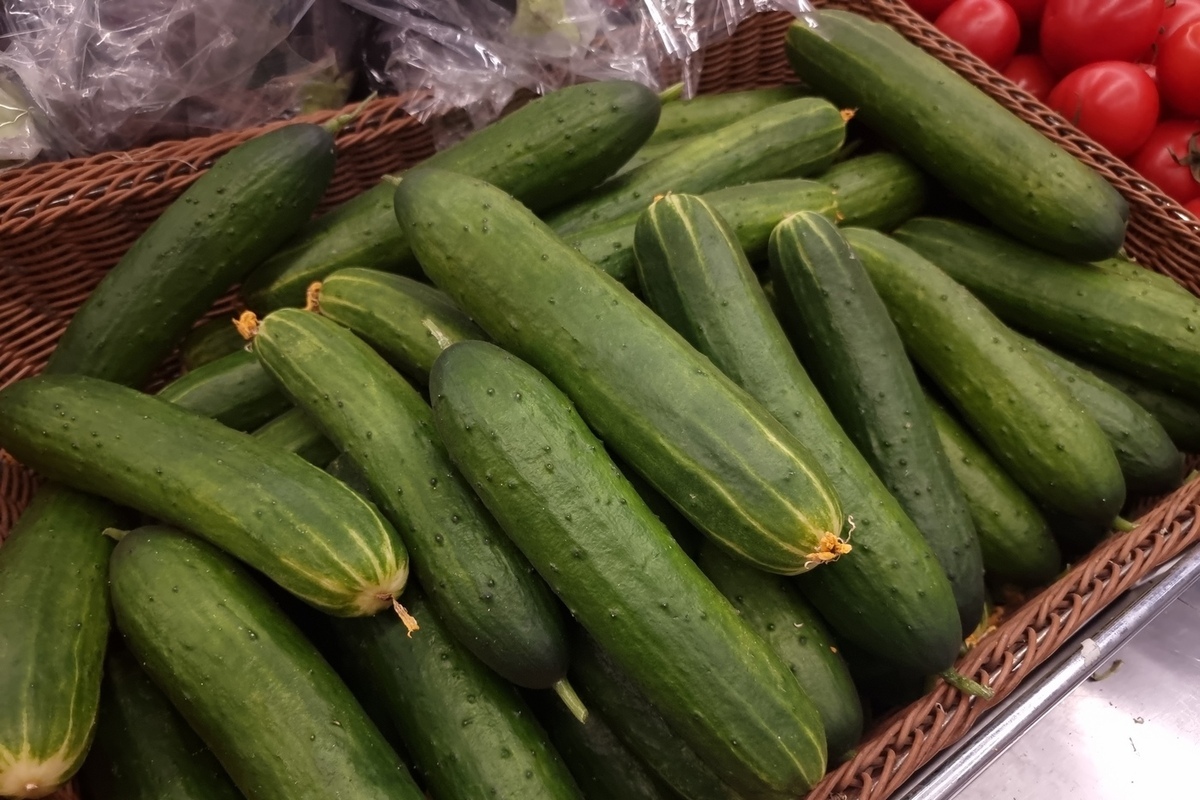Статистика цен на продукты в Карелии: что изменилось за последний месяц