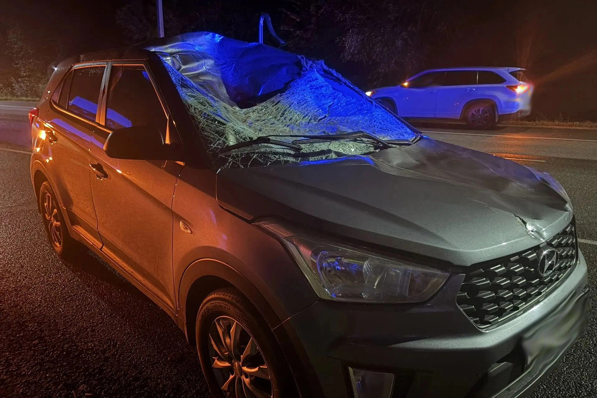 В Тамбовском округе водитель Hyundai Creta сбил лося и пострадал
