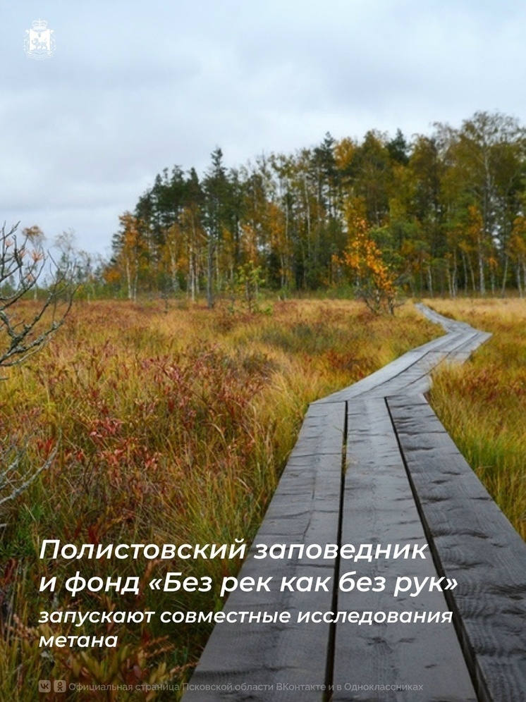 В Полистовском заповеднике начнут регулярно измерять выбросы метана на болотах