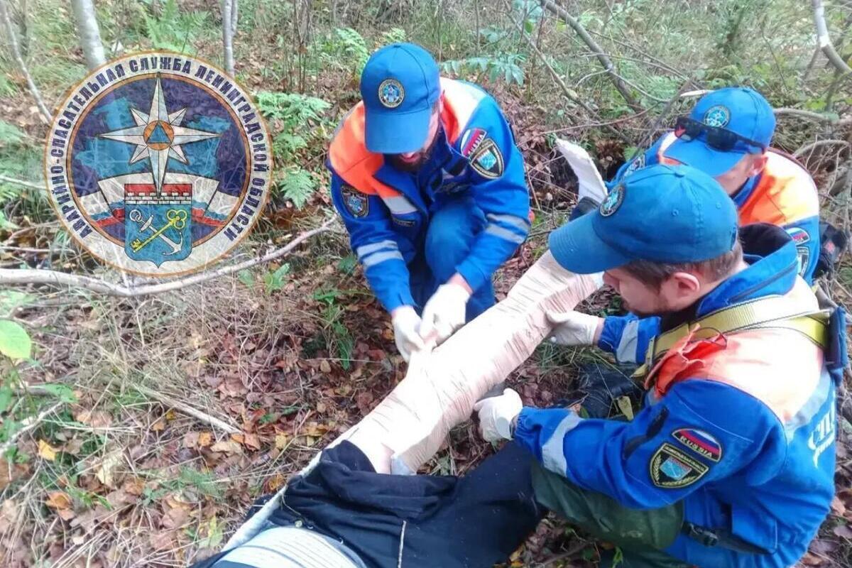В Тосненском районе мужчина ушел за грибами, а вернулся со сломанной ногой