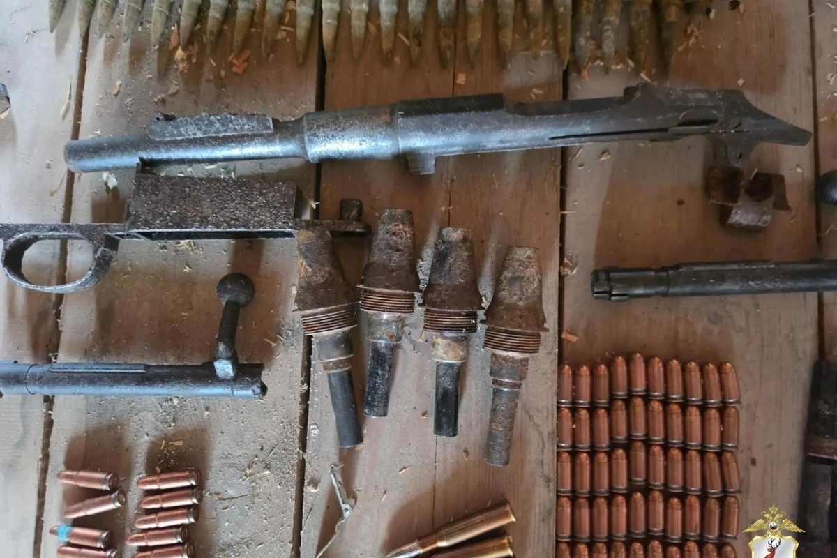 У нижегородца изъяли арсенал оружия и боеприпасов