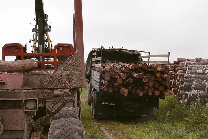 Бойцам СВО передали 40 кубометров древесины от Орловского госуниверситета