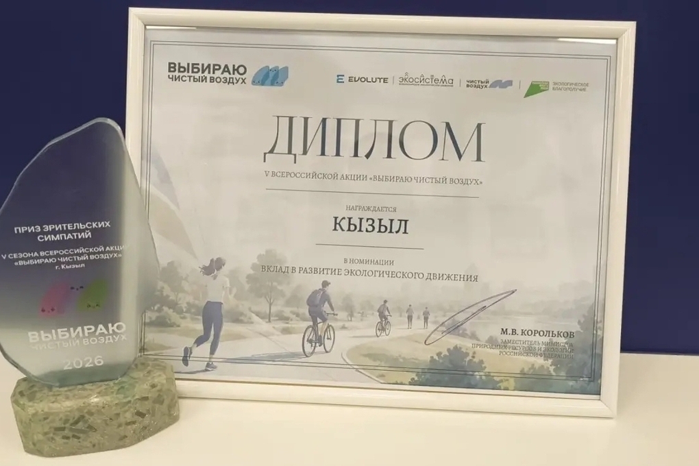 Кызыл отмечен на федеральном уровне за вклад в экологическое движение: итоги акции «Выбираю чистый воздух»