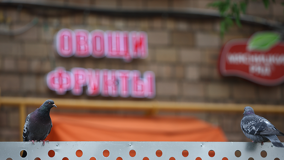 Минсельхоз назвал условия возобновления импорта продукции АПК из Армении