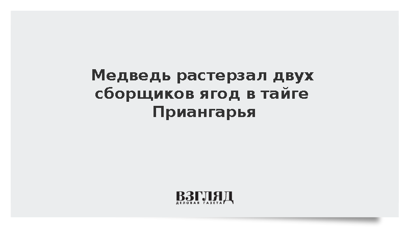 В Киренском районе Иркутской области медведь убил двоих сборщиков дикоросов