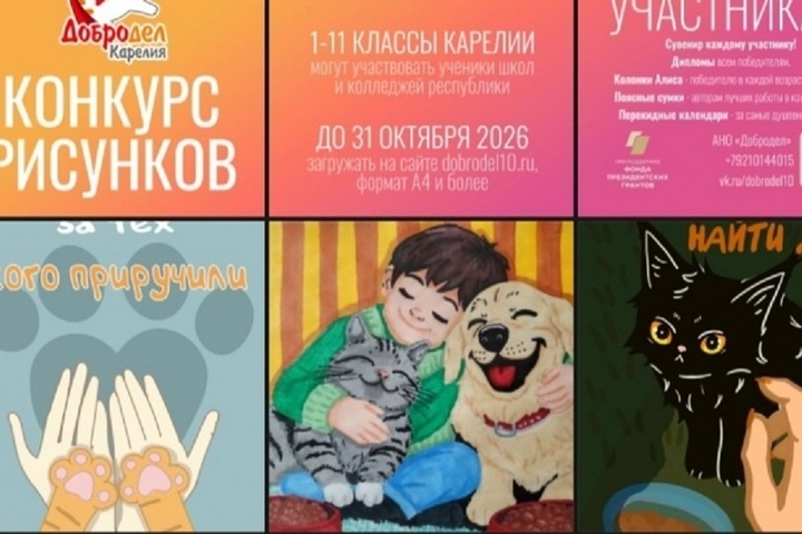 Юные художники Карелии помогут бездомным животным через творчество