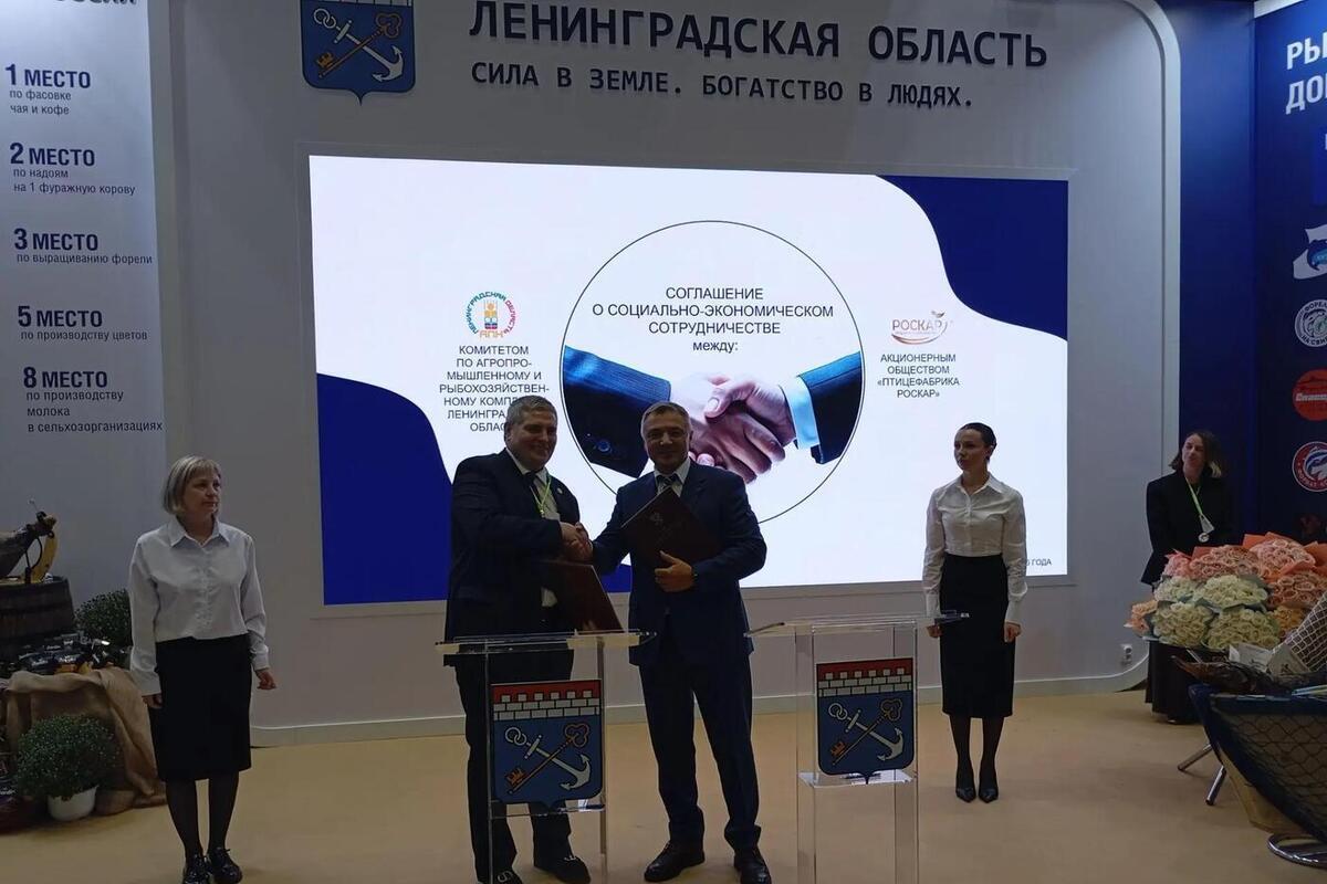 В Выборгском районе построят элеватор для хранения компонентов комбикормов