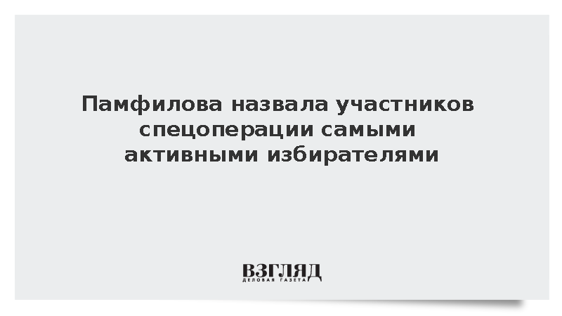 Памфилова назвала участников спецоперации самыми активными избирателями