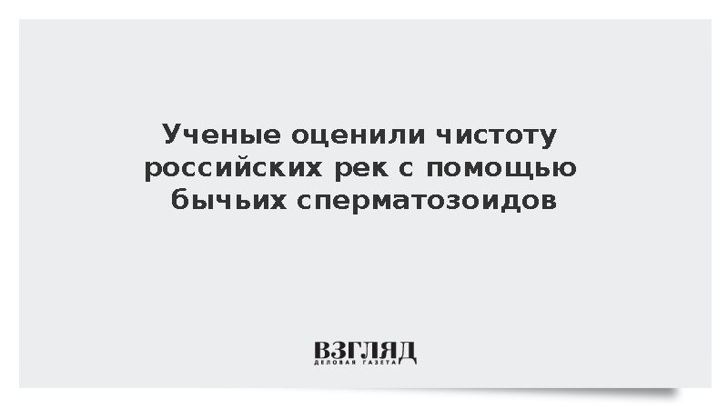 В НовГУ оценили токсичность водоемов с помощью бычьих сперматозоидов