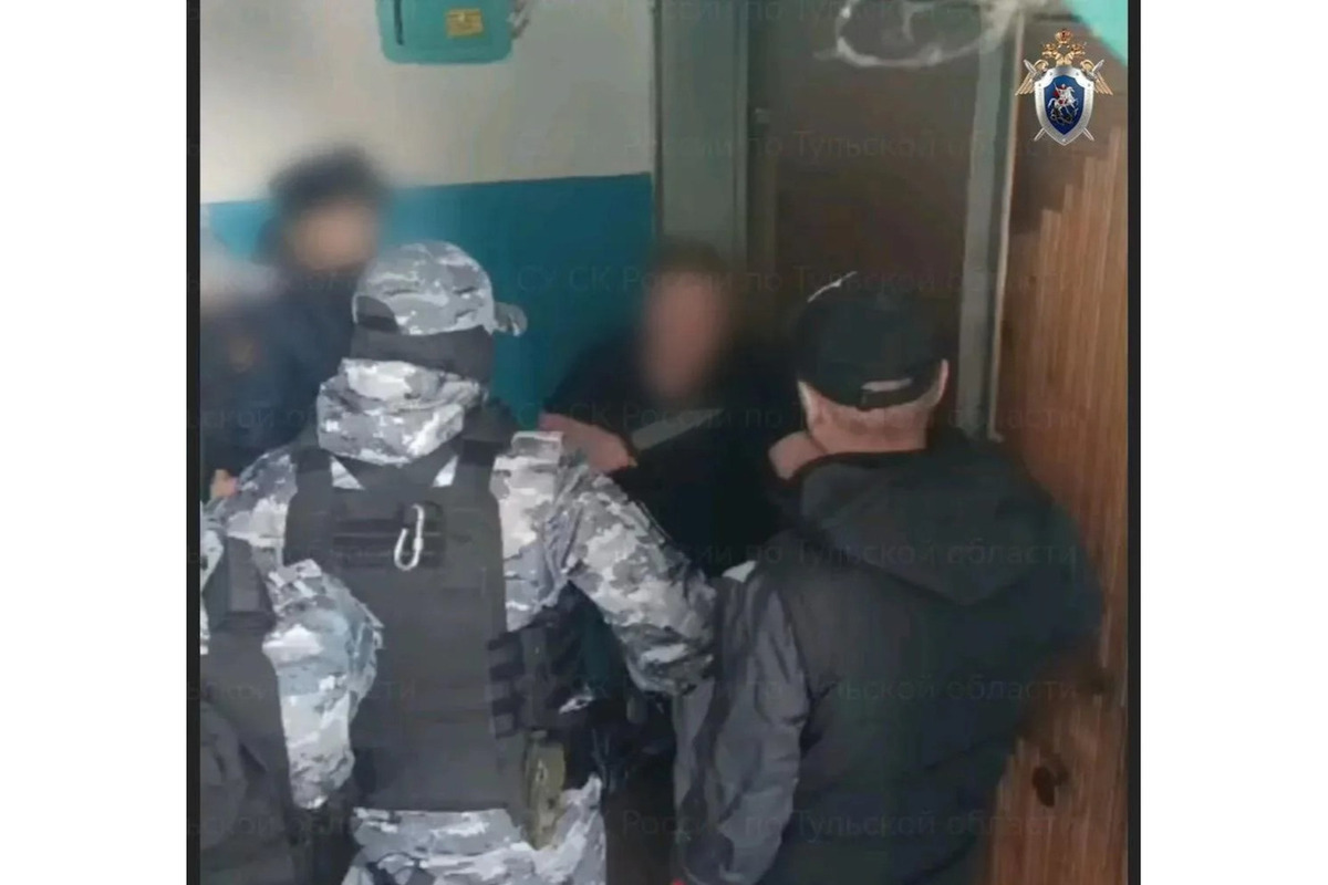 Тулячка с ножами получила 7 лет за нападение на приставов