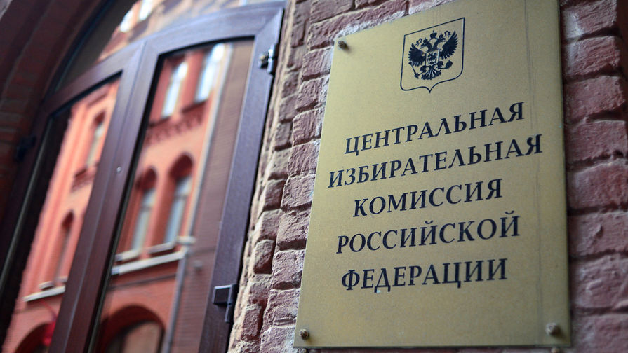 В ЦИК заявили о попытке неизвестных сорвать выборы от имени Памфиловой