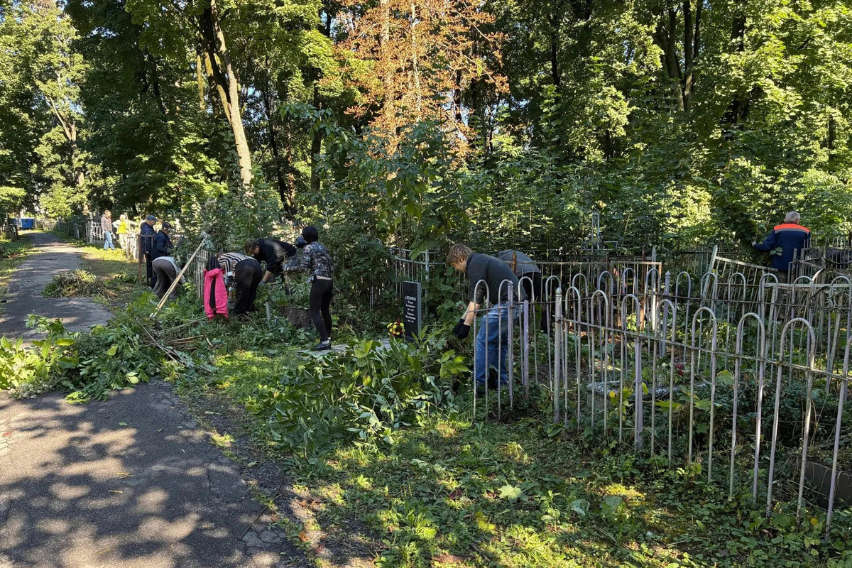 В Курске работники культуры вырубили сорняк на Никитском кладбище