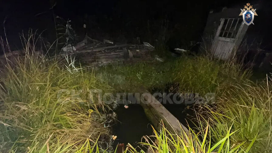 Трехлетний мальчик утонул, упав в яму с водой возле дома в Подмосковье
