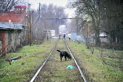 Поймавший Чикатило следователь опроверг известный миф о серийных убийствах