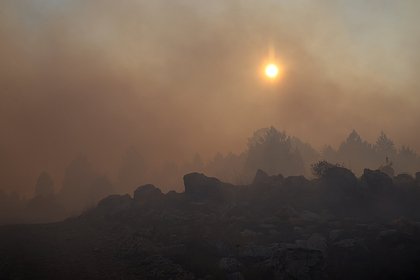 Токсичность дыма от лесных пожаров и выхлопных газов сравнили