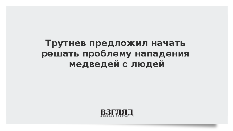 Трутнев не оценил идею «всех пострелять» с дикими медведями