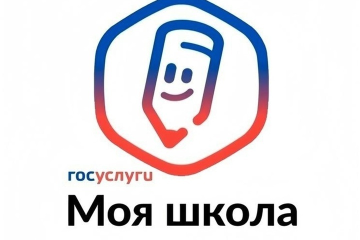 В Курской области объяснили проблемы с приложением «Моя школа»