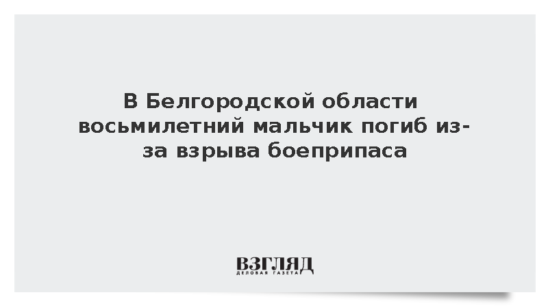 В Белгородской области восьмилетний мальчик погиб из-за взрыва боеприпаса