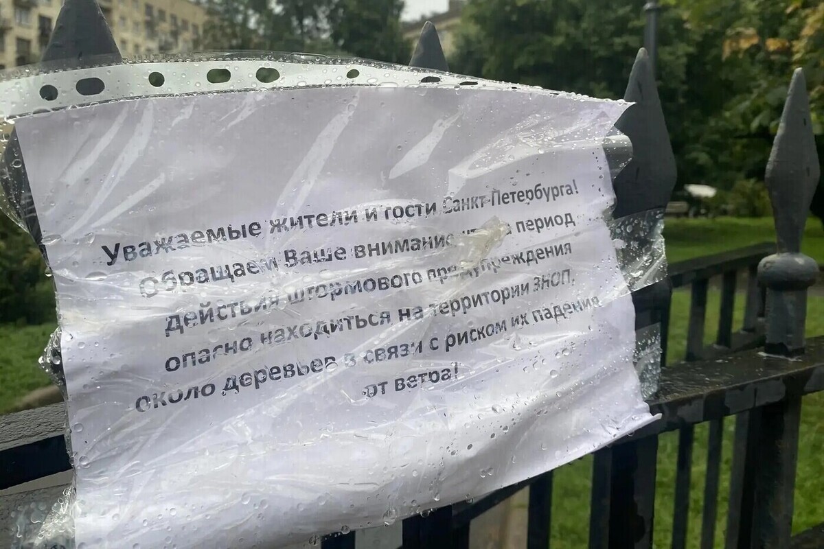Субботу в Петербурге испортит «очень крепкий» ветер