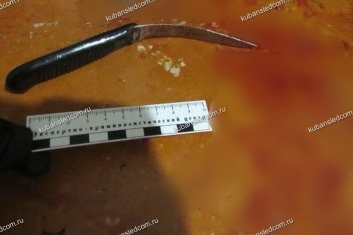 В Туапсе будут судить женщину, обвиняемую в покушении на убийство сожителя