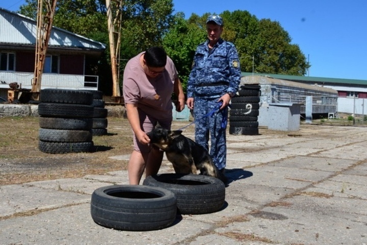 Кинологи УФСИН Крыма осваивают современные методы дрессировки собак