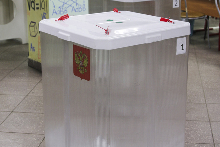 На выборах в Госдуму за первые 7 часов проголосовало 16,67% туляков