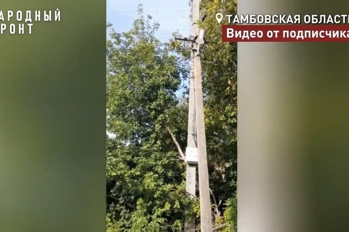В селе Горелое под Тамбовом высоковольтные провода искрят в кронах деревьев