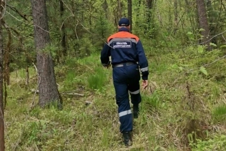 В Сибири пропал мужчина: спасатели обследовали берег реки