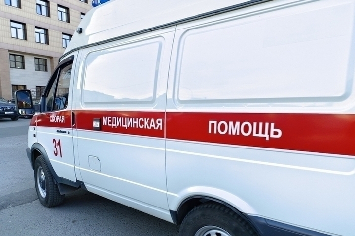 Пенсионерка и семилетний ребенок пострадали в ДТП на трассе Барнаул — Рубцовск