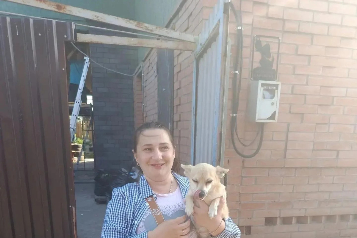 Красноярские полицейские вернули домой пропавшую собаку