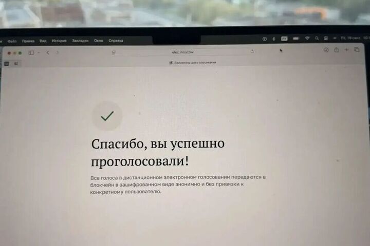 Депутат Госдумы Елена Цунаева проголосовала в Петербурге дистанционно