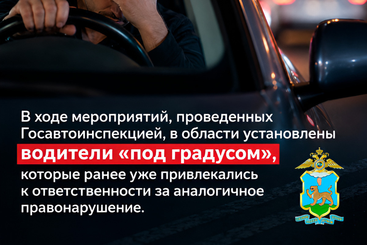 В Псковской области за ночь задержали двух водителей-рецидивистов в нетрезвом виде